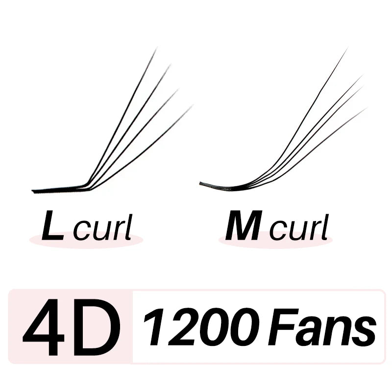 Matte Ultra Dark L/M Curl Lash Fans