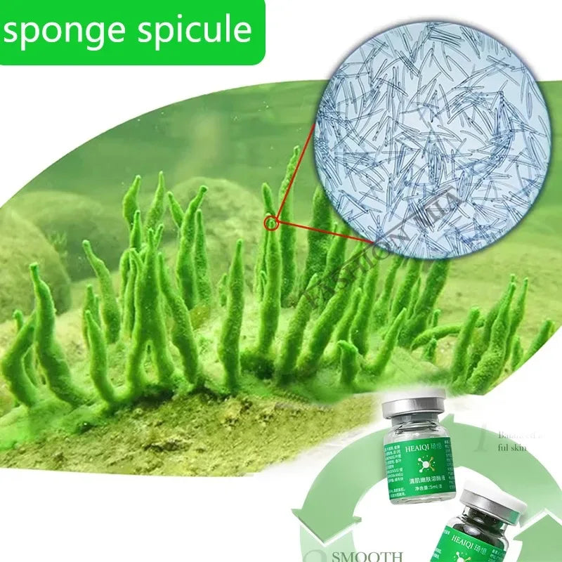 Sponge Spicule Collagen Powder