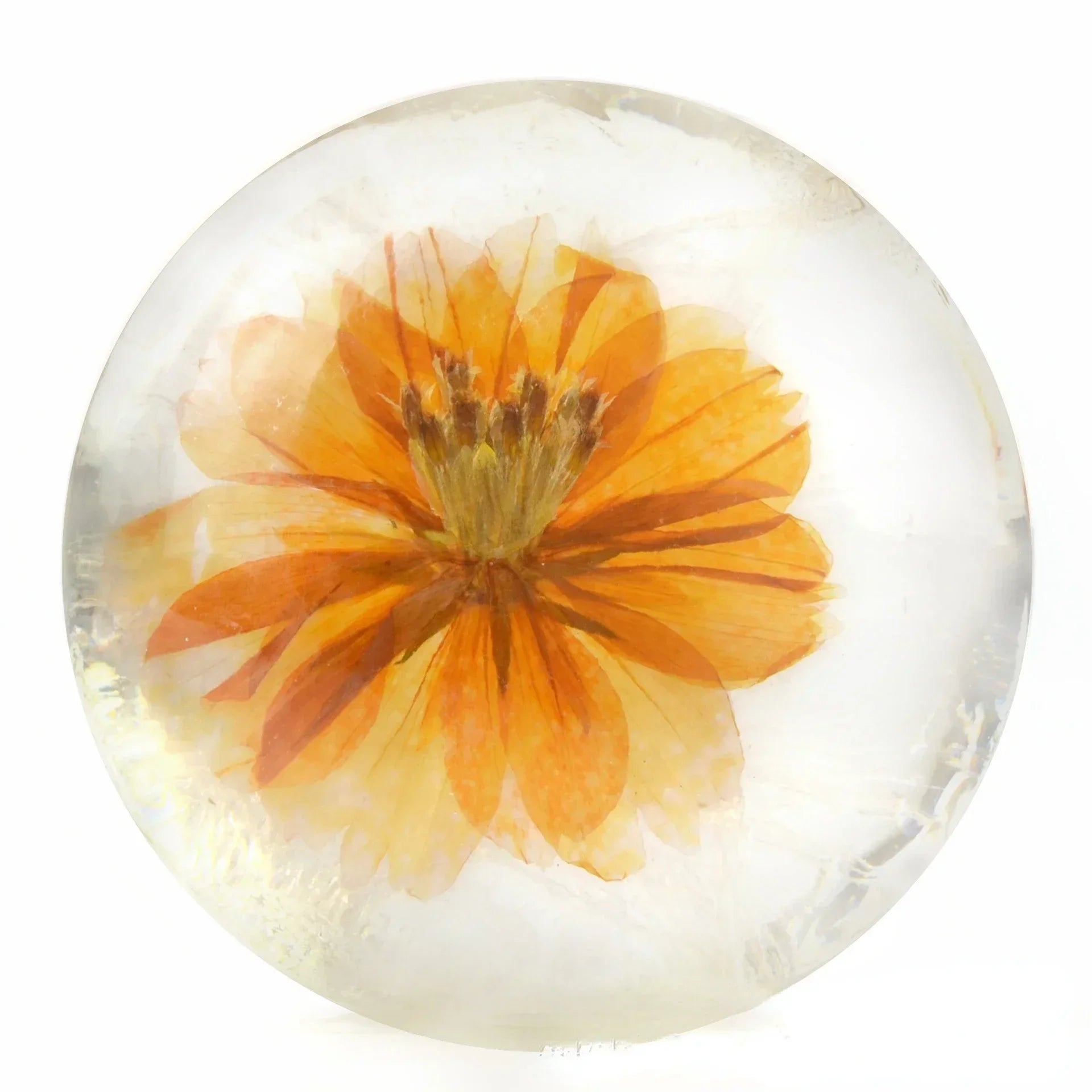 Amino Acid Floral Handmade Bar Soap